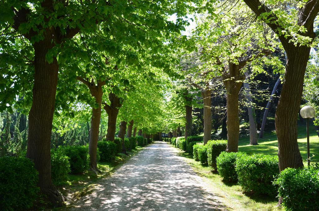 Villa Montanari Rosatiポルト・サン・ジョルジョ エクステリア 写真